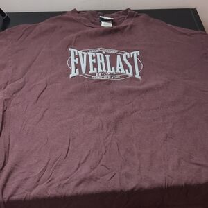 Vintage Raised Everlast Men's Maroon T-Shirt Large Cotton